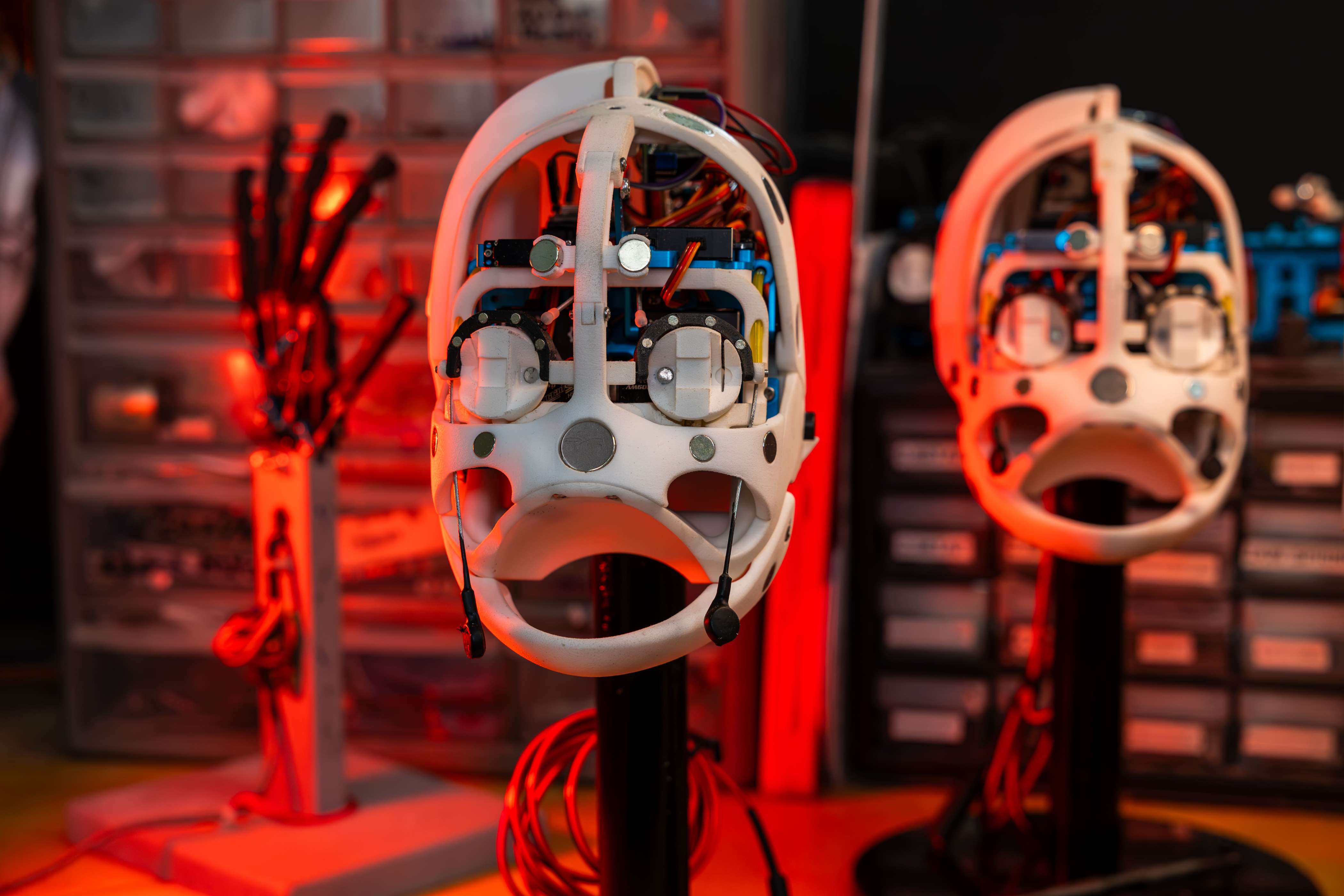 Image Courtesy: Public Domain